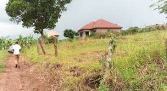 Plot in Our Kiwenda Estate