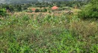 Plots in Gobelo – Hoima Road